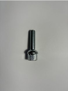 CSAVAR HEX17 12X1,5X40 RADIUS