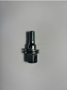PEUGEOT/CITROEN CSAVAR M12X1,25X17 CH19